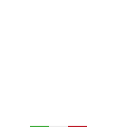 Mozzamatic - The advanced mozzarella manufacturing